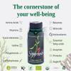 Seagreens Iodine Lite+ Organic Supplements, 3 Month Supply, 150mcg Natural Iodine from Seaweed, Vegan Supplement for Kids & Adults, Radiation Support, Thyroid Health, 90 Capsules view 4