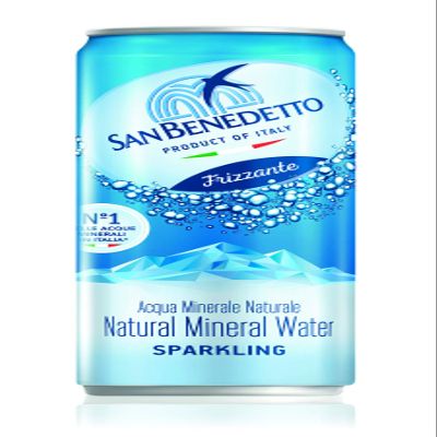 Sparkling in CAN 24 PCS X 33CL