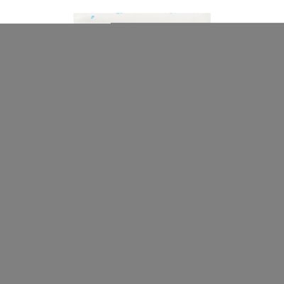 2 packs of IHR Paper Pocket handbag Tissues - ICY X-MAS FOR YOU Christmas Mouse and Present