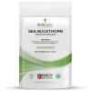 Bodygenix Sea Buckthorn Tablets - 500mg Rich in Omega 7 Fatty Acid Immune System Skin Cardiovascular Health Antioxidant Formula Natural Supplement - 30 Tablets 1 Month Supply view 1