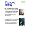10 Masmi Ultra-Thin Organic Cotton Night Pads with Wings Individually Wrapped 100% Biodegradable, Perfume Viscose Rayon Chlorine Dioxin Free (2) view 3
