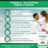 VitaDigest Vegan 90 Capsules: Natural Digestive Support with Enzymes, Curcumin & Turmeric for Gut Health, Immunity & Bloat Relief view 2