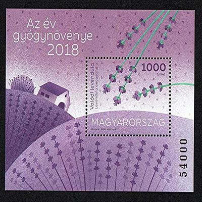 2018 Ungheria Impianto Medical - Lavender
