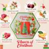Acorus Christmas Tea Set, Natural Fruit and Herbal Tea Gift Set Christmas, 60 Tea Bags Individually Wrapped, Large Herbal Fruit Tea Selection Box, 6 Flavors in Xmas Tea Box, Tea Gifts for Tea Lovers view 3