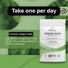 Bodygenix Silica 500mg Capsules Silicon Bamboo Extract Rich Supplement (120) 4 Month Supply view 3