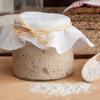 Freshly Fermented  Organic & Vegan Certified Freeze Dried Sourdough Culture, British White Style view 4