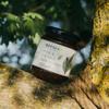 Odysea Pine and Fir Tree Raw Honey, 250g view 4