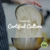Freshly Fermented  Organic & Vegan Certified Freeze Dried Sourdough Culture, San Francisco Style view 2