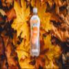 Get More Vits - Fibre Still Peach & Apricot Flavoured Spring Water (12 x 500ml), Boosts Overall Gut Health & Digestion, Feel Fuller for Longer, Sugar-Free, Low Calorie, Vegetarian, Vegan view 3