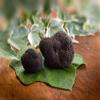 Carpaccio Tartufo Gourmet with Black Summer Truffle 70% Tuber Aestivum Preserved in Extra Virgin Olive (2 x 60g) view 3
