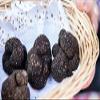 Carpaccio Tartufo Gourmet with Black Summer Truffle 70% Tuber Aestivum Preserved in Extra Virgin Olive (2 x 60g) view 4