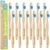 BAMBOOGALOO Pack of 12 Organic Adult BambooToothbrushes - Premium UK Brand, Wooden Toothbrush with Sustainable Plastic-Free Packaging, Beautifully Crafted Ocean Edition view 1