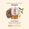 illy Ethiopia Coffee Beans, 100% Arabica, Ideal for Moka Pots, Espresso & Filter, 250g Tin view 2