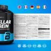 BioTechUSA Micellar Casein Protein Powder | Extended Absorbtion time | Gluten-Free, and Fat-Free | Added L-Glutamine, 2.27 kg, Chocolate view 4