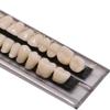 Angzhili 2 Sets (56PCS) Dental Acrylic Resin Denture Tooth Kit False Tooth for Halloween Horror Prop 23 A2 view 4