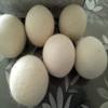 6-Pack 100% Wool Dryer Ball Absorbs Moisture Dry Clothes Zero Pollution No Allergy Less Wrinkles Laundry Dryer Felt Balls,6cm view 1