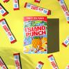 Wyler's Light Island Punch, Fruity Red Punch, 10 CT Pack of 12 view 4