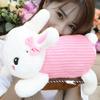 CJT the new, Hot Water Bottle With Best Plush Cartoon Doll Cover,Rechargeable Hot Water Bottle,Explosion-proof Electric Heater,Heating Bag,for Winter,winter,daily use (Color : Pink) view 1