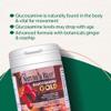 Glucosamine Gold | High Strength 1400mg 100% Plant-Based | 120 Tablets | All-in-one Formula with Phytodroitin, Chondroitin, Ginger, rosehips and quercetin | Taste Free Tablets | Made in the UK view 2