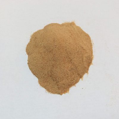 Brewers Yeast Powder Food Grade Premium Quality (1900g)
