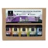 Taylerson's Gin & Cocktail Syrup Gift Set - Vegetarian, Artisan and Hand-Bottled. Ideal added to gin, prosecco or sparkling wine. British-Made - 5 x 50ml view 1