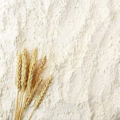 Vital Wheat Gluten Flour - Flour for Making Seitan - Vegan Meat Substitute - Seitan Flour Powder Baking Bread Bulk PURIMA - 10kg