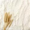 Vital Wheat Gluten Flour - Flour for Making Seitan - Vegan Meat Substitute - Seitan Flour Powder Baking Bread Bulk PURIMA - 10kg view 1