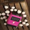 Chocca Mocca- Real Strawberries Dressed in Creamy White Chocolate in Beautiful Presentation Chocolate Box Cube 100g, Deliciously indulgent Treat, Great Gift, Luxurious Quality Made in Great Britain view 3