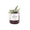 Caramelized Red Onions view 1