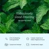 COCOFLOSS Coconut-Oil Infused Woven Dental Floss | Mint | Dentist-Designed | Vegan and Cruelty-Free | 8 Month Supply (32 Yds x 4 Units) view 3