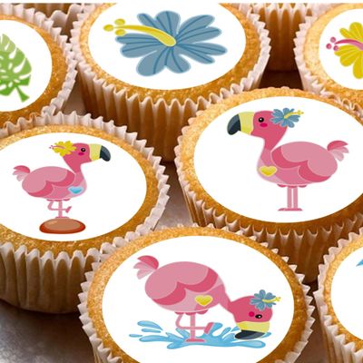 cdb 24 Flamingo mixed Edible Iced/Icing Cupcake Topper Fairy Cake Bun Toppers Round