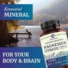 Magnesium Citrate Complex | 500 MG | High Absorption Magnesium Supplements for Calm, Relaxation, Regularity & Digestion Support with Elemental Magnesium | Gluten-Free, Soy-Free | 120 Capsules view 4