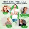 High Strength Vegan Omega 3 Capsules - 1500mg - 750mg DHA and 300mg EPA per Daily dose of 3 Softgels - 90 Omega 3 Vegan - from Sustainable Plant-Based Algae Oil view 4
