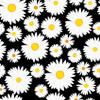 Cutieful Therapeutic Graduated 10-18 mmHg Compression Socks, Daisies, 6-12 view 2