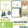 Oleificio Mallia - Extra Virgin Olive Oil bio100% Italian - Can of 5 L - Fresh Harvest 2024/2025 Cold extracted view 4