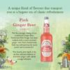 Fentimans Pink Ginger Beer - Botanically Brewed Soft Drink - Exquisitely Crafted & Refreshing Soft Drinks - Gluten-Free and Vegan Friendly Soft Drinks - 6 x 750ml Bottles view 2
