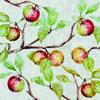 20 Napkins Apple Branches Table Decoration with Fruit 33 x 33 cm view 1