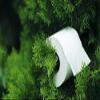 6/12soft Clean Toilet Tissue 4 Ply Toilet Paper Clean Toilet Tissue Roll Paper Towels Toilet Tissues Bathroom Tissues Paper Rolls Bath Tissue Household Paper Kitchen Tissues (12) view 2