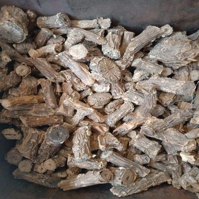 Spacetouch Giloye Giloy Ayurvedic Herbs Guduchi Giloi Natural Immunity 300 Gram Pack