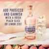 Villa Ascenti Rosa Gin, 70 cl view 2