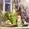 Belvoir Farm Lime Cordial - Fresh Pressed Lime Juice | Zingy Citrus Taste | Traditional Family Recipe | 100% Natural Ingredients | Suitable for Vegetarians & Vegans - single 500ml Bottle view 2