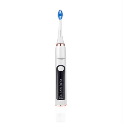 Adult Domestic Induction Charging Electric Toothbrush ultrasonic Toothbrush