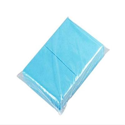10 Thicken Disposable Massage Mattress Hospital Operating Room Mattress Sleeping Bag Waterproof Disposable Bed Sheet Beauty Salon Pad -Blue