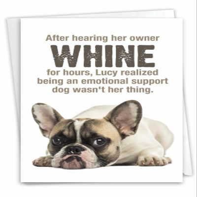 NobleWorks - Funny Happy Birthday Card with Envelope - Hilarious Quarantine, Toilet Paper Humor Greetings - Emotional Support Dog C3718BDG