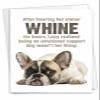 NobleWorks - Funny Happy Birthday Card with Envelope - Hilarious Quarantine, Toilet Paper Humor Greetings - Emotional Support Dog C3718BDG view 1