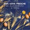 Barilla Emiliane Tortellini Prosciutto Crudo Italian Egg Dried Pasta with Ham Gr.250 view 3