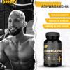 CNP Professional Ashwagandha Stress & Anxiety Relief, Boosts Energy & Performance, Supports Recovery, Blood Pressure, Memory, Cognitive Function & Inflammation 60 Vegan Capsules view 3
