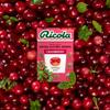 Ricola Cranberry Sugar Free Swiss Herbal Sweets, Herb Drops, Sweet Box 45g - Pack of 20 Boxes view 4