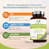 Saccharomyces Boulardii 20 Billion CFU - 120 Capsules | High Strength Prebiotics and Probiotics for Women & Men | Digestion Supplement with Natural Postbiotic Benefits | Vegan | 4 Months Supply view 2