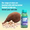 Unrooted Apple Cider Vinegar Shots Multipack  Good Gut Booster & Natural Prebiotics - 12 x 60ml Bottles - Apple Cider Vinegar, Ginger, Spirulina, Coconut Water & Baobab view 4